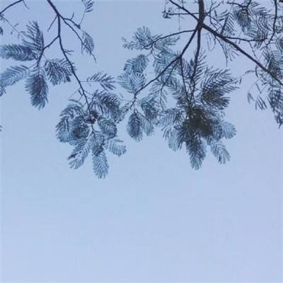 仙梦奇缘倩女篇手游下载