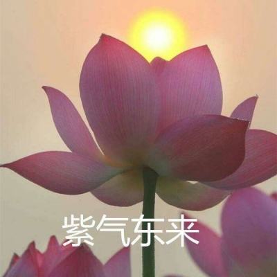 烈火焚沙官方版下载