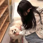 边锋浙中大菠萝